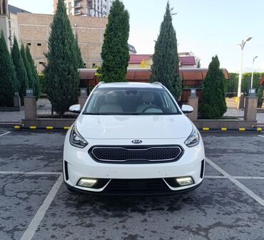 Kia: Kia Niro: 2018 г., 1.6 л, Типтроник, Гибрид, Универсал
