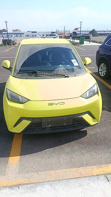 BYD: BYD Seagull: 2023 г., Электромобиль, Хэтчбэк — 1