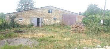 Anbar və emalatxanalar: Ünvan: Qusar şəhəri Ləyər kəndi (ləzgi ləyər) 1hk 68 sot bağ yeri — 1