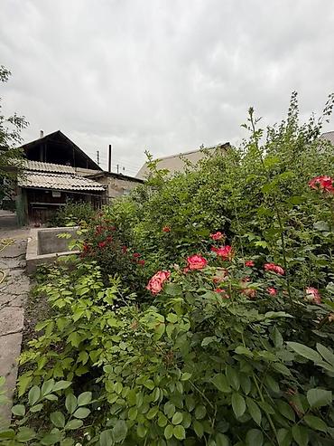 Дома: 🚨 СРОЧНАЯ ПРОДАЖА ДОМ С УЧАСТКОМ 🚨 🏡 Добротный тёплый дом 📐 135 — 8