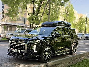 2023: Hyundai Palisade: 2023 г., 2.2 л, Автомат, Дизель, Внедорожник — 6