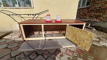 Товары и оборудование для с/х животных: Клетка для животных с деревянным каркасом и металлической сеткой — 26