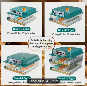 İnkubatorlar: Yeni satışda 64 yumurtalıq inkubator. Fotolar ona aiddir. Tam -da lalafo.az — 2 İnkubatorlar: Yeni satışda 64 yumurtalıq inkubator. Fotolar ona aiddir. Tam — 2