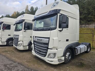 зеркало даф 105: Сүйрөгүч, DAF, 2019 г., Прицепсиз