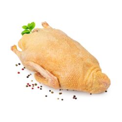 электронный жайнамаз бишкек цена: Продаётся мясо индоутки 500 сом за кг