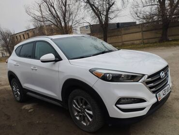 хундай таракан: Hyundai Tucson: 2017 г., 2 л, Автомат, Бензин, Универсал