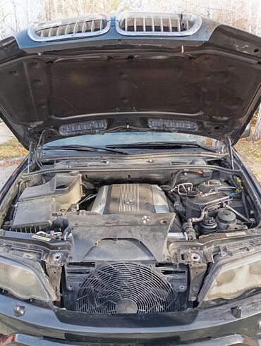 BMW: BMW X5: 2003 г., 4.4 л, Автомат, Бензин, Кроссовер — 9