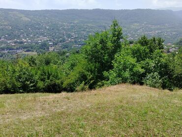 Torpaq sahələrinin satışı: Tikinti — 12