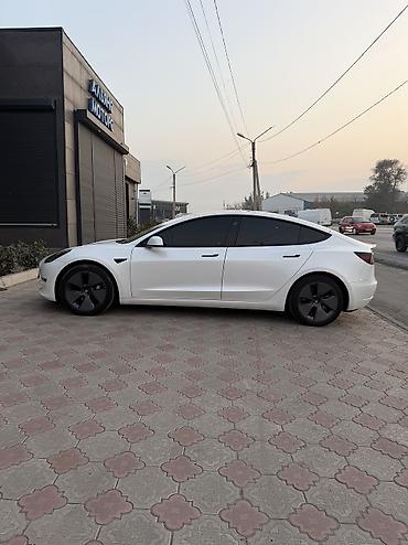tesla model s 2015: Tesla Model 3: 2021 г., Электромобиль, Седан — 3