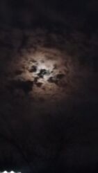 услуги домашнего повара: Ищю работу ухаживающим за больными мужчинами и дедушками массаж опыт