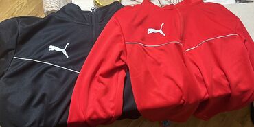 детские ролики 35 38 размера: Спортивный костюм Puma, M (EU 38), цвет - Красный