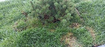 Насосы: Здравствуйте. Мы частная компания которая занимается профессионально — 4