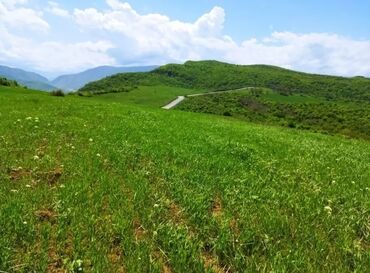 недвижимость в баку из рук в руки: 524 sot, Biznes üçün, Barter mümkündür, Kupça (Çıxarış)
