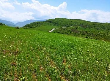 bakixanovda torpaq: 524 sot, Kənd təsərrüfatı, Barter mümkündür, Kupça (Çıxarış) — 1