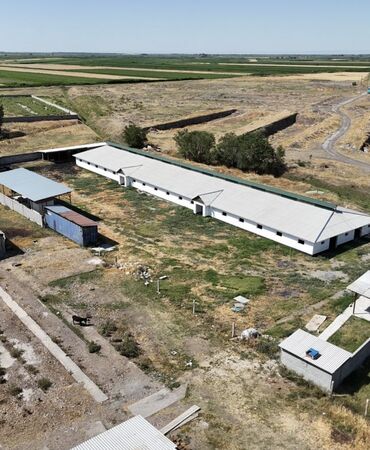 Другая коммерческая недвижимость: Продаётся мал сарай 📍 адрес: сокулукский район, с. Чат-көл 🏢 мал at lalafo.kg — 6 Другая коммерческая недвижимость: Продаётся мал сарай 📍 адрес: сокулукский район, с. Чат-көл 🏢 мал — 6