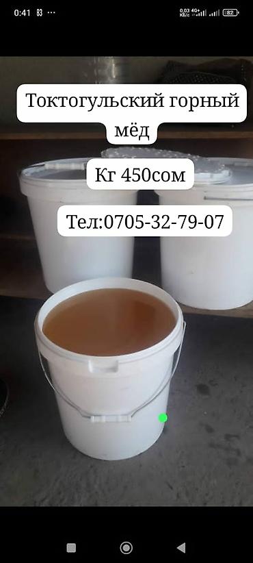 дойки ко: Помидоры Оптом, В розницу — 1
