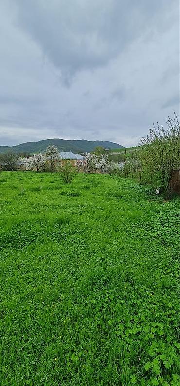 Torpaq sahələrinin satışı: 12 sot, Tikinti — 2