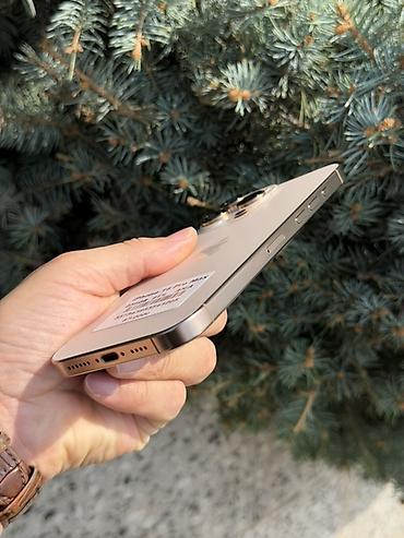 1 наушник: IPhone 16 Pro Max, Колдонулган, 256 ГБ, Desert Titanium, Заряддоочу түзүлүш, Коргоочу айнек, Каптама, Бөлүп төлөө менен, 91 % — 3