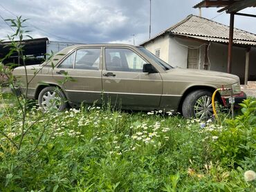 купить мерседес спринтер в европе: Mercedes-Benz E-Class: 1991 г., 2 л, Механика, Дизель, Седан