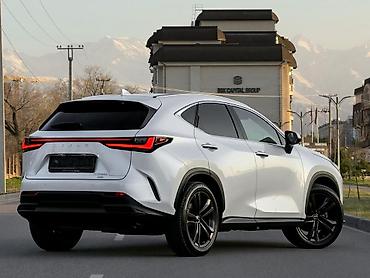спойлер нехсия: Lexus NX: 2023 г., 2.5 л, Автомат, Кроссовер — 2
