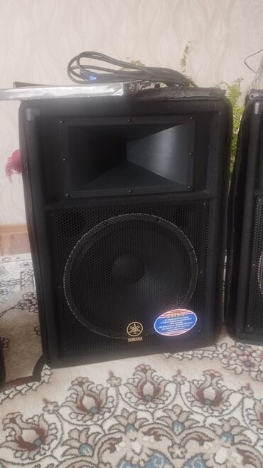 Dinamiklər və kolonkalar: Kolonka, Növ - Akustik, rəng - Qara — 10