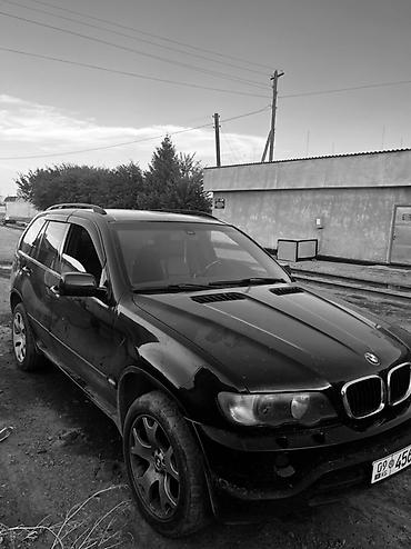 radiator kg: BMW X5: 2003 г., 3 л, Автомат, Дизель, Кроссовер — 3