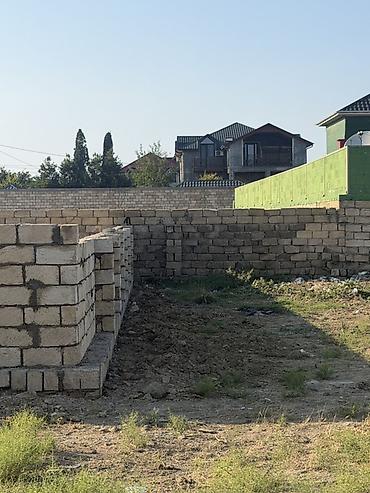 Torpaq sahələrinin satışı: Tikinti, Kupça (Çıxarış) — 6
