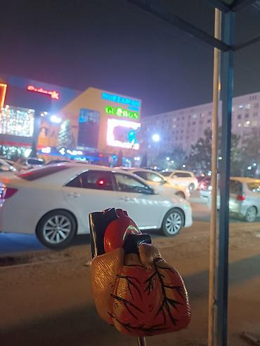 анатомия книга купить: Продаю анатомическую модель сердца. Идеально подходит для — 3