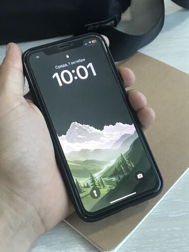 ноутбук 1650: IPhone X, Черный, Чехол, 77 %