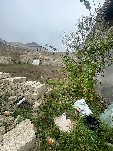 dasinmaz emlak alqi satqisi: 2 sot, Tikinti, Mülkiyyətçi, Müqavilə — 9
