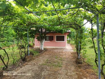 dobos kuce golubinci: 18 sq. m, 2 bedroom