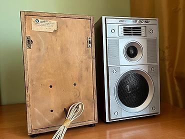 se electronics: Акустическая система Вега 25АС-101 (пара) - Формат: полочная — 3