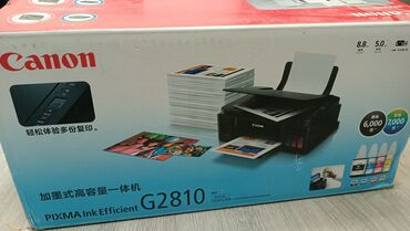 компютер принтер: МФУ Canon PIXMA Ink Efficient G2810 - Тип: струйное