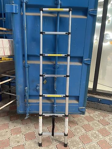 Телескопические стремянки: Телескопическая стремянка, Высота: До 2 м, Новый, Материал: Алюминий — 4