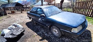 Audi: Audi 100: 1990 г., Седан — 7