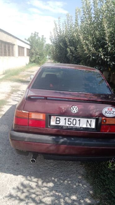 лейлек авто: Volkswagen Beetle: 1996 г., 2 л, Механика, Бензин, Седан