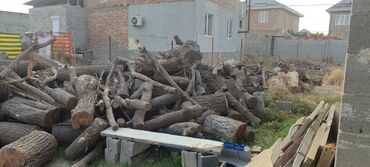 уголь каракече бешсары шабыркуль каражыра доставка бишкек купить: Отун