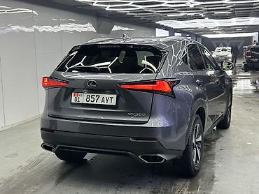 Lexus: Lexus NX: 2020 г., Бензин, Кроссовер — 8