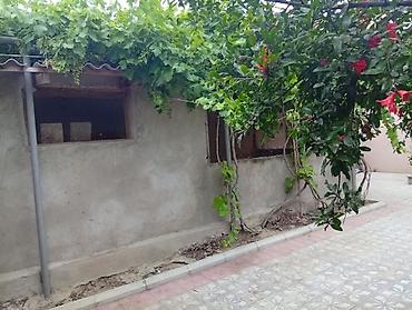 quba ev alqi: 3 otaqlı, 100 kv. m, Orta təmir — 2