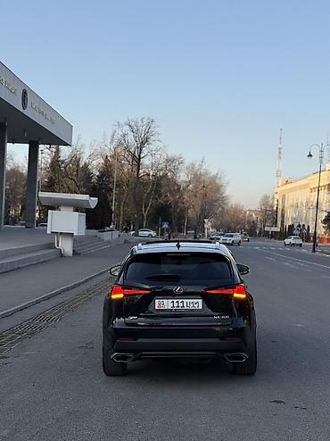 Lexus: Lexus NX: 2019 г., 2 л, Автомат, Бензин, Кроссовер — 6