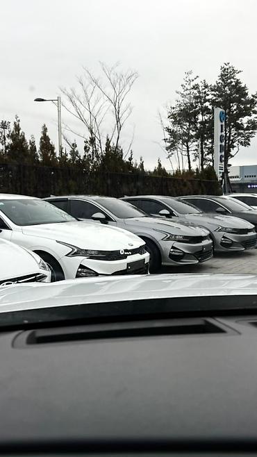 Hyundai: Hyundai Palisade: 2020 г., 2.2 л, Автомат, Дизель, Кроссовер — 12