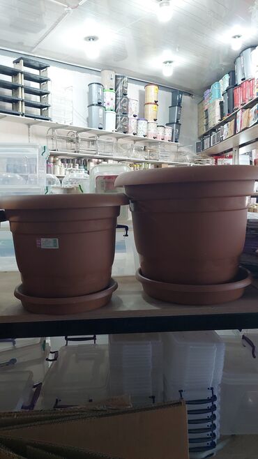 Bitkilər üçün dibçəklər: Dipçekler Gül qabilar ferqli modeller ferqli ölçulerde 1 aznden — 5