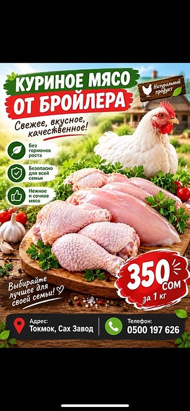 икра кеты бишкек: Куриное мясо от бройлера — натуральный продукт - Свежее, вкусное — 1