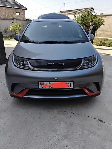 двухскат спринтер: BYD Dolphin: 2023 г., Автомат, Электромобиль, Хэтчбэк — 3