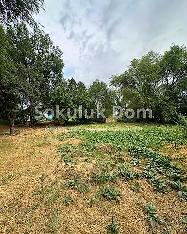 1 bedroom: 🏠Продается дом в с. Романовка 🟡 Комнаты: 2 🟡 Участок: 12 соток — 3