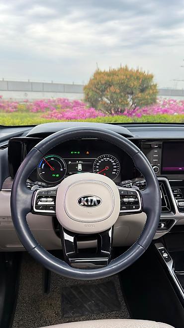 Kia: Kia Sorento: 2020 г., 1.6 л, Автомат, Гибрид — 13