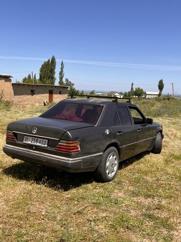 лупарик мерс 210: Mercedes-Benz W124: 1992 г., 2.5 л, Механика, Дизель, Седан