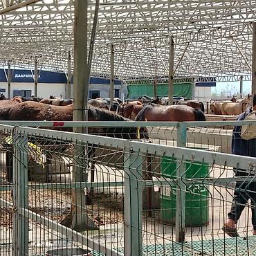 Продажа павильонов: Продажа павильонов 15 м², Утеплен — 8