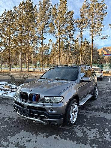 BMW: BMW X5: 2004 г., 4.4 л, Автомат, Бензин, Кроссовер — 5