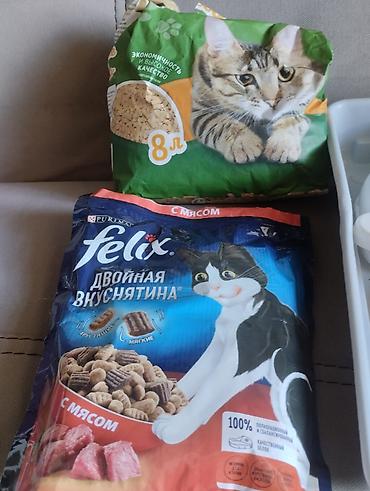 Зоотовары: 1000 сом - за всё (!) Набор для кошки/котёнка — всё необходимое сразу — 3